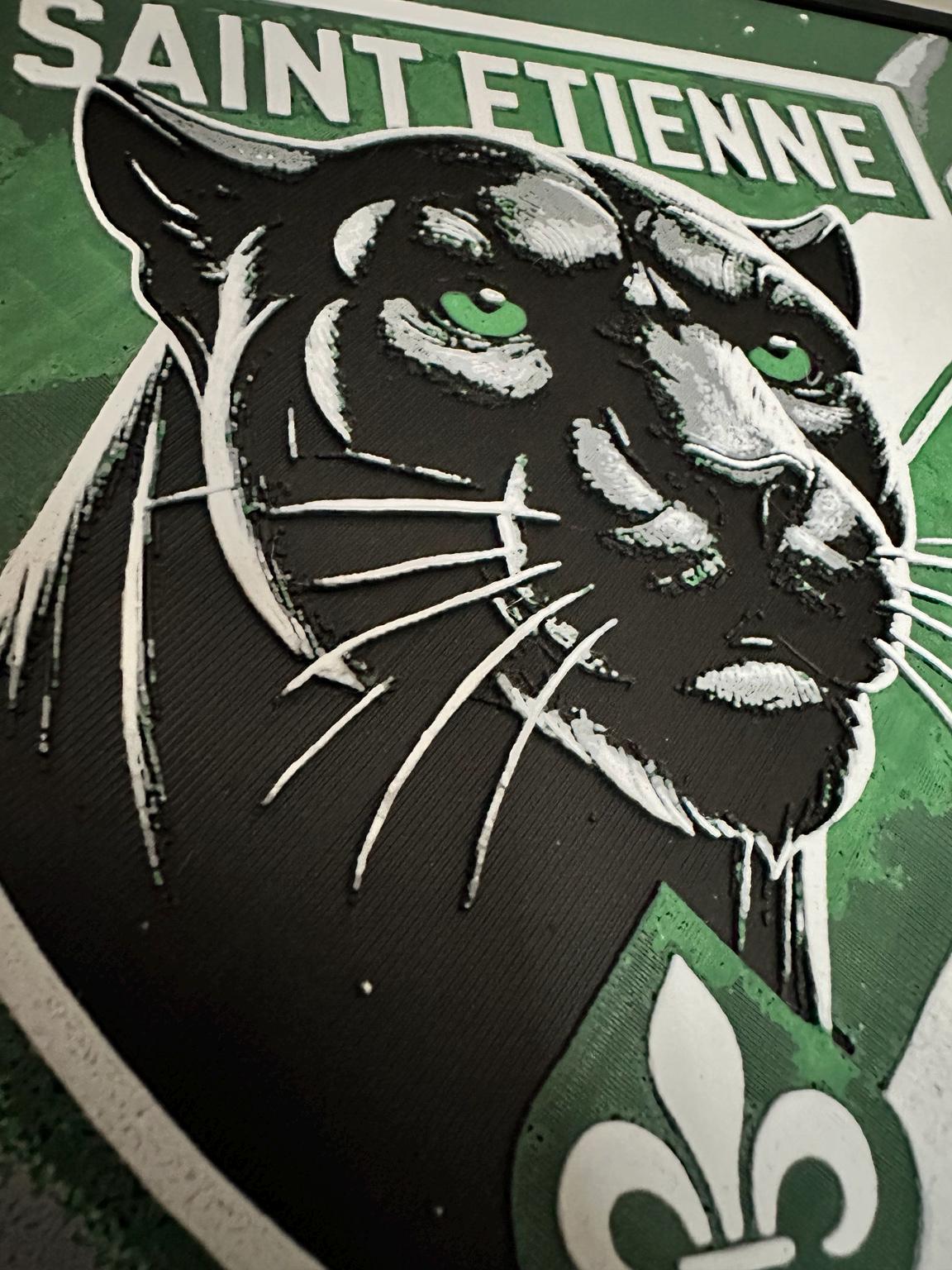 Tableau 3D Panthère verte – Inspiration football stéphanois – vue 2