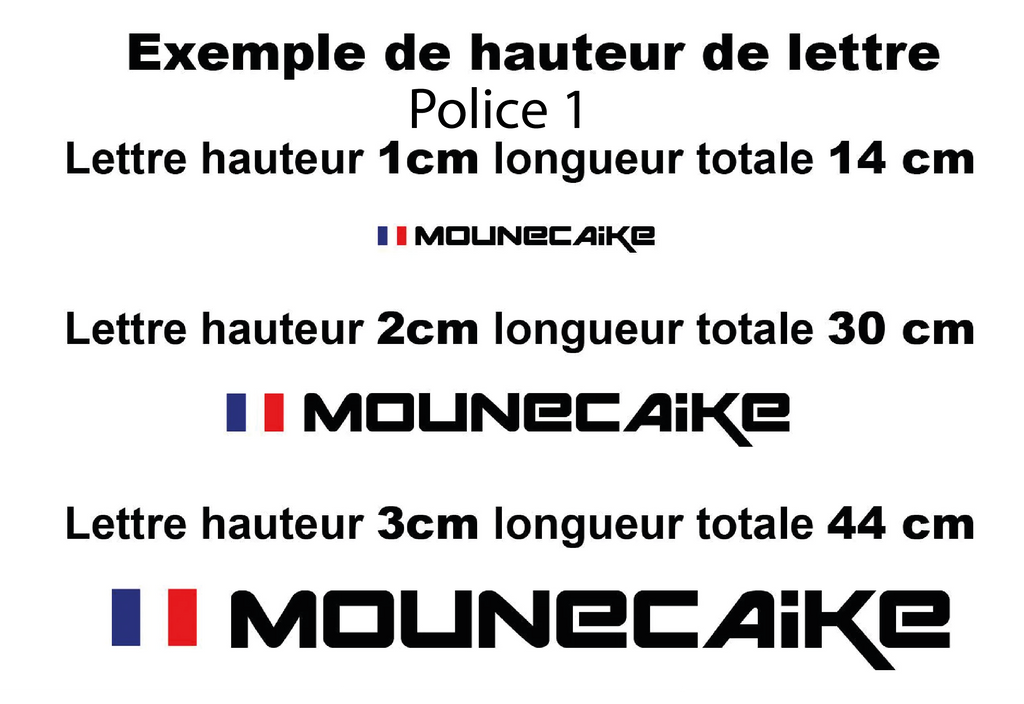 Sticker personnalisé Sim Racing – Pseudo pilote – vue 4