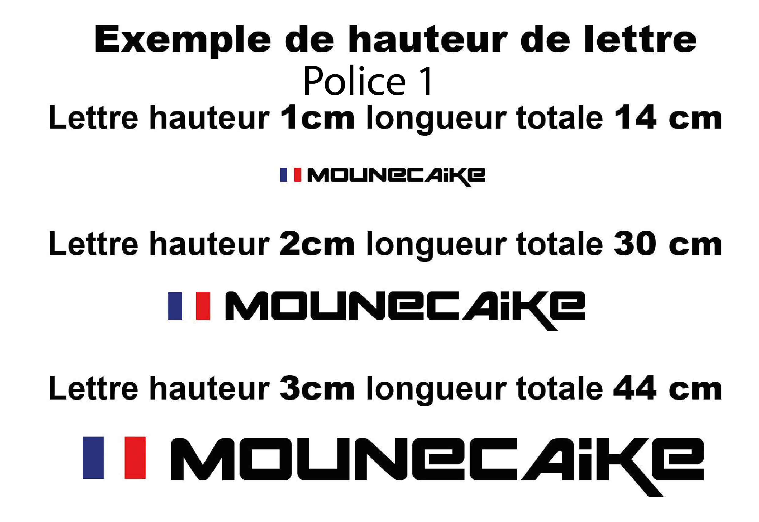 Sticker personnalisé Sim Racing – Pseudo pilote – vue 4