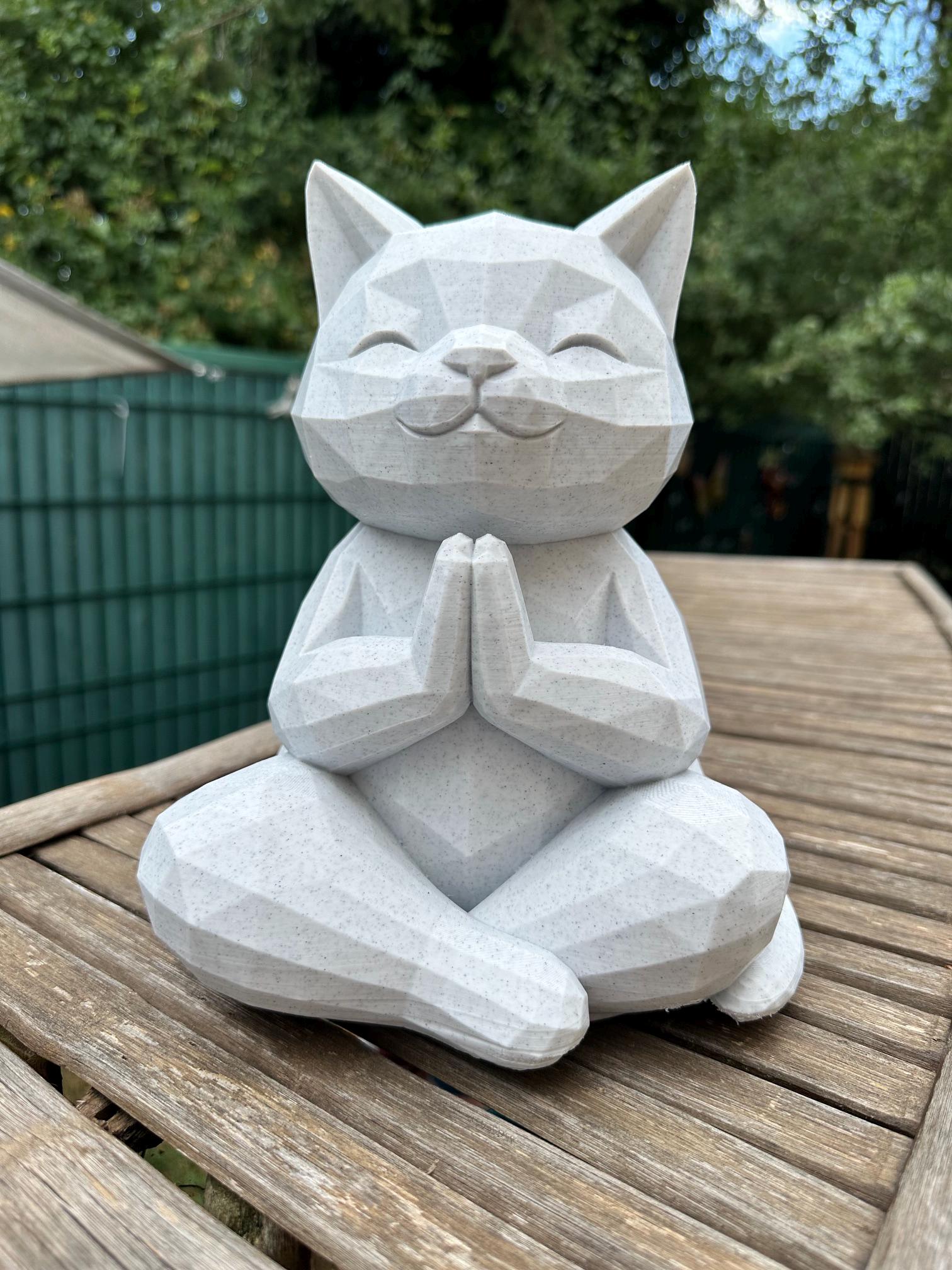 Chat zen géométrique en méditation