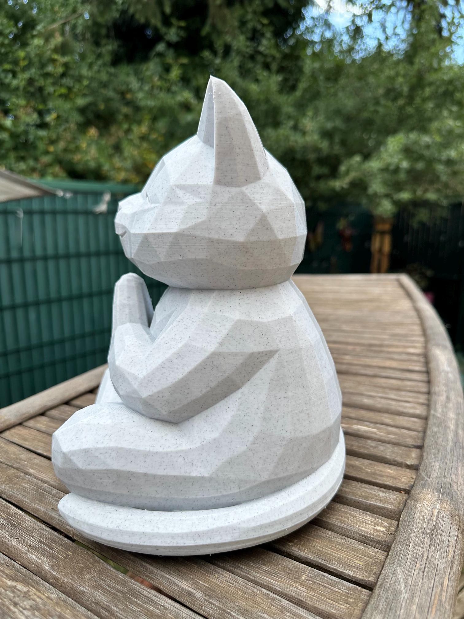 Chat zen géométrique en méditation – vue 2